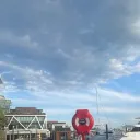 marianita3449 avatar