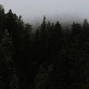 _groznik_