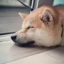 akoot_