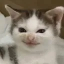 peeejs