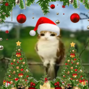 avatar [meowlik] sw1zzy