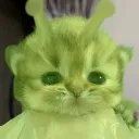 urielojeda0434 avatar