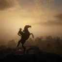 elmascapito0464 avatar