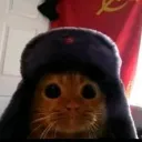 el_comunista1 avatar