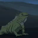 iguana.charles