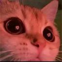 maskusam