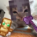 scott_qwx