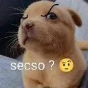 elred0815_66356 avatar