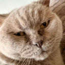 Drift.RIP Discord User Avatar