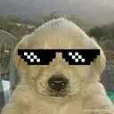 Eltio