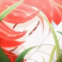 kiioo_