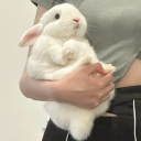 avatar Bunni sempi xoxo