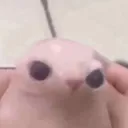 mjork