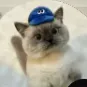 hyperionisbad