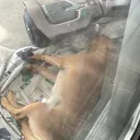 justacoollittlefella avatar