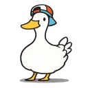 .vpxr_