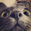 lazyman90325's Avatar