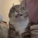 muriiwx