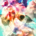 cranify_ai