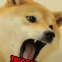 julian_4332_27868 avatar