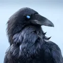 xjotnarvikingx