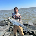 avatar LatinoGangYourPapi