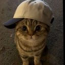 avatar 🤍Hugs4Cats🤍