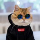 ｡.ﾟ+ 𝘼𝙧𝙮𝙖𝙣🥀