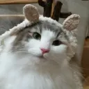 Аватар _tulen_228_62891