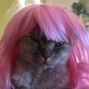 xoxodigitalgata member profile picture