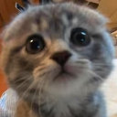 user49505068868 member profile picture