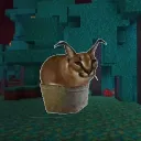 meghan_lovesfrappuchino_17484 avatar