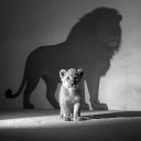 avatar abdou oix 🇩🇿