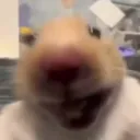 dogwichhh
