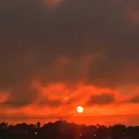 bolivar1111111 avatar