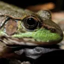 Аватар keyboardoil