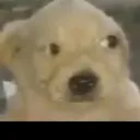 anthony_12074 avatar