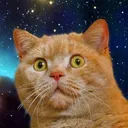 katerd
