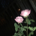 avatar Earthquake 🪐