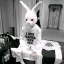 why.not0_0