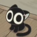 kitfugll