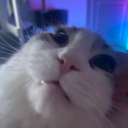 Profilbild för grospnnow.