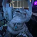 prosiaczek_997 avatar