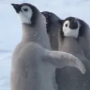 delethed_user avatar