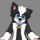 argosthepuppy