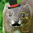 dappermink