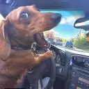 Аватар fugichz.