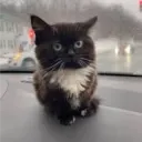 Аватар 4monya4