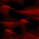 avatar 049492