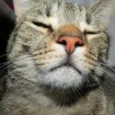 elizabeth093709 avatar